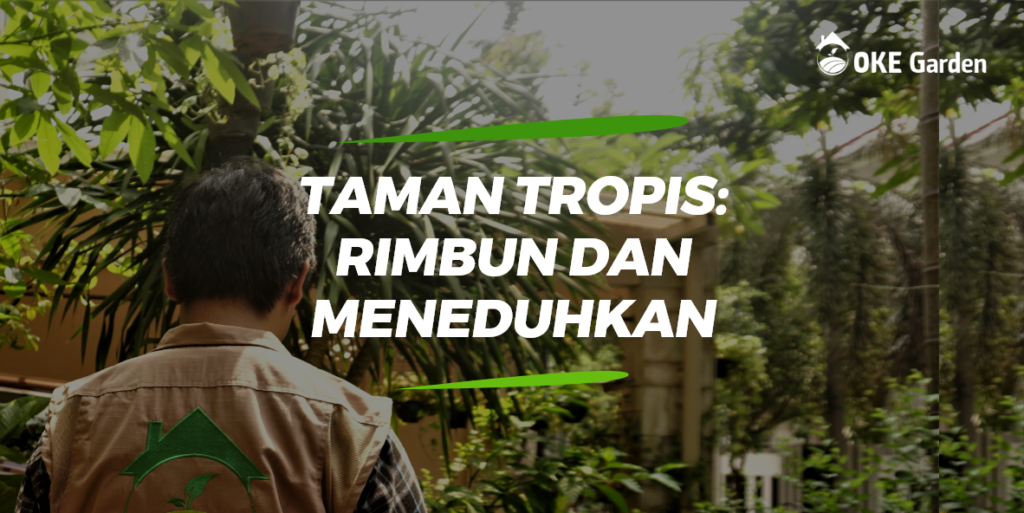 Schedule Rimbun Taman Tropis: Rimbun dan Meneduhkan